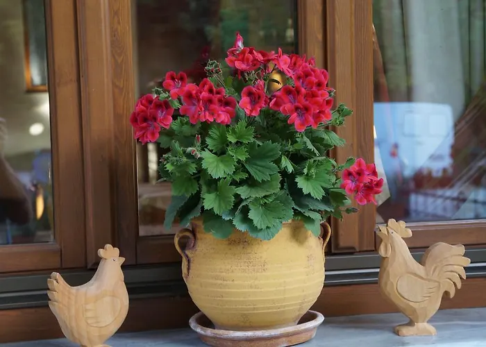 Papastathis קאלאבאקה